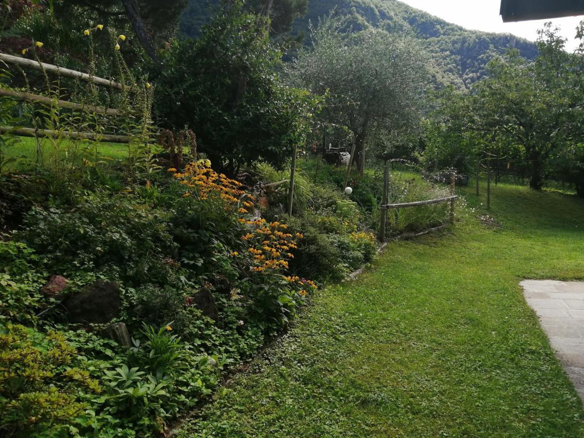 Villa Pinie Apt 1 Terlano Dış mekan fotoğraf