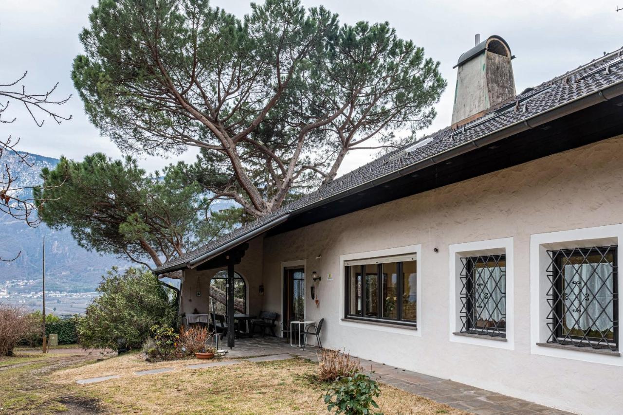Villa Pinie Apt 1 Terlano Dış mekan fotoğraf