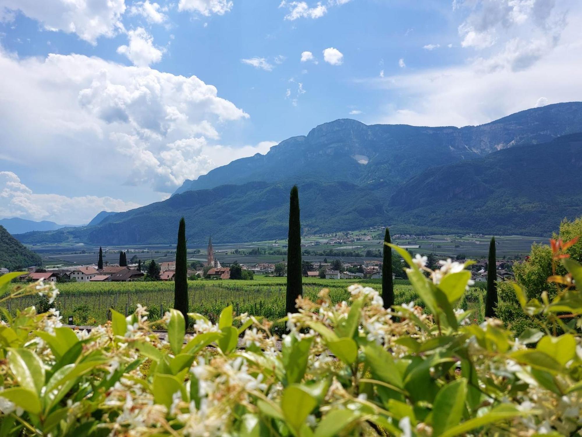 Villa Pinie Apt 1 Terlano Dış mekan fotoğraf