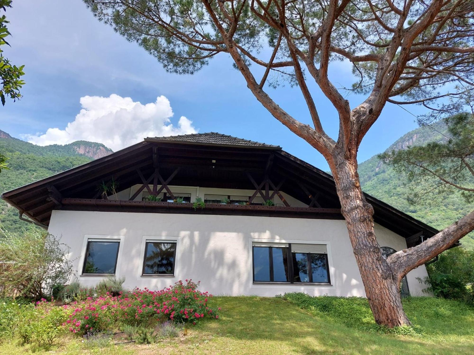 Villa Pinie Apt 1 Terlano Dış mekan fotoğraf